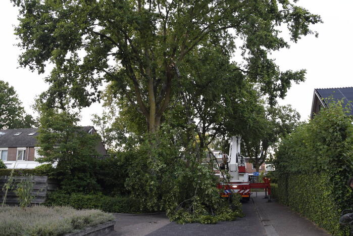 Brandweer ingezet voor afgebroken tak