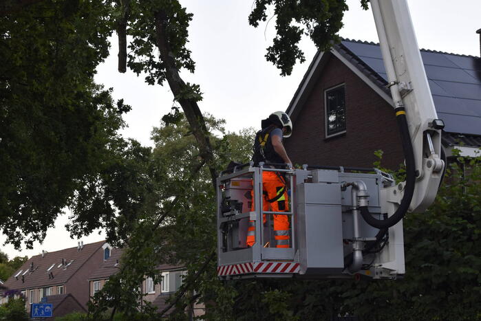 Brandweer ingezet voor afgebroken tak