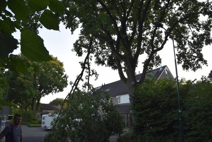 Brandweer ingezet voor afgebroken tak