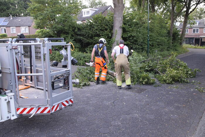Brandweer ingezet voor afgebroken tak