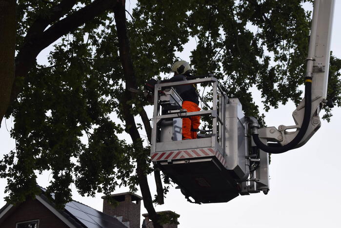 Brandweer ingezet voor afgebroken tak
