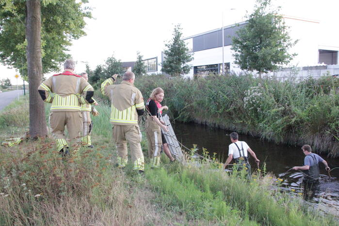 Brandweer zoekt naar gestolen katalysator