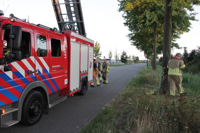 Brandweer zoekt naar gestolen katalysator