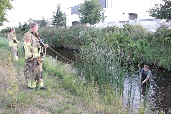 Brandweer zoekt naar gestolen katalysator