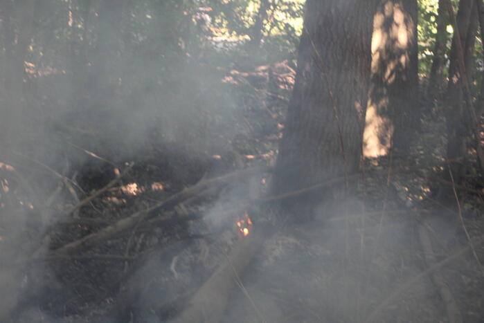 Brand in bosgebied snel geblust