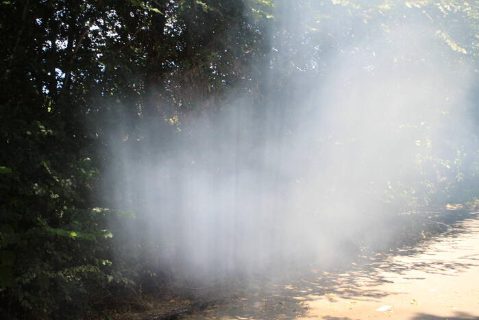 Brand in bosgebied snel geblust