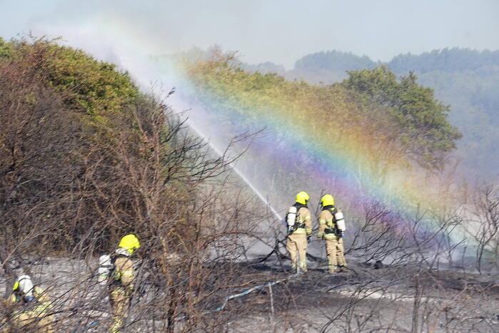 Brandweer massaal ingezet bij grote duinbrand