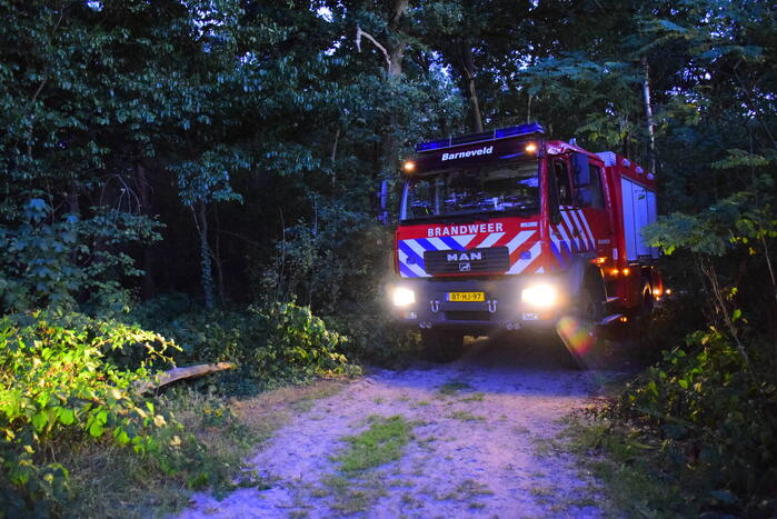 Brand in bosgebied snel geblust