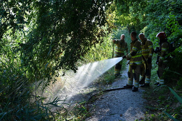 Kleine rietbrand in park