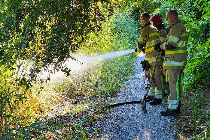 Kleine rietbrand in park