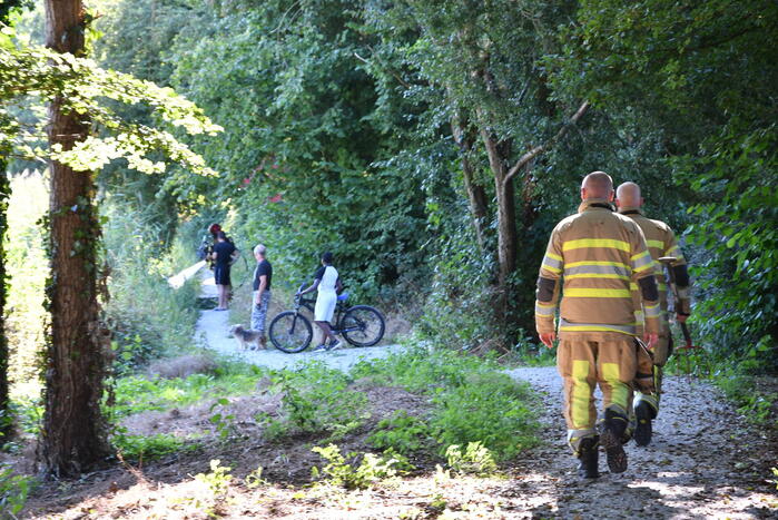 Kleine rietbrand in park