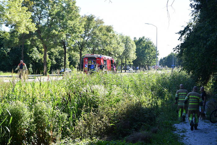 Kleine rietbrand in park