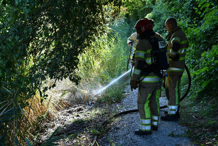 Kleine rietbrand in park