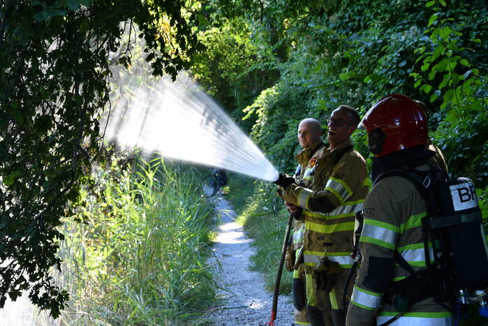 Kleine rietbrand in park