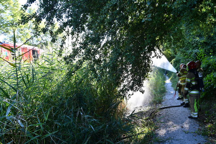 Kleine rietbrand in park