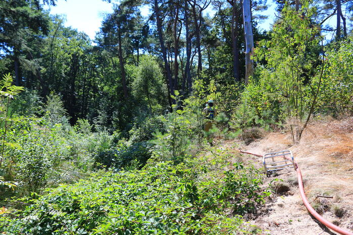 Flinke brand in Monnickenbos