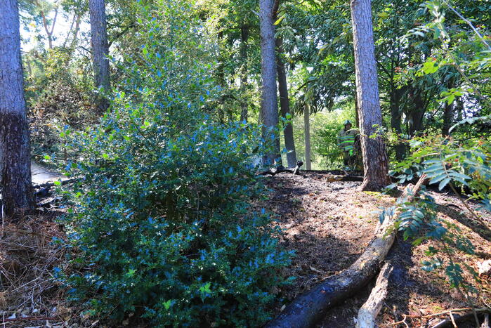 Flinke brand in Monnickenbos