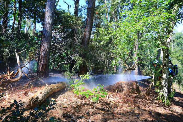 Flinke brand in Monnickenbos