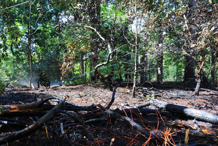 Flinke brand in Monnickenbos