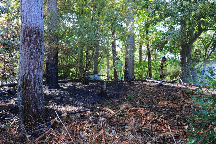 Flinke brand in Monnickenbos