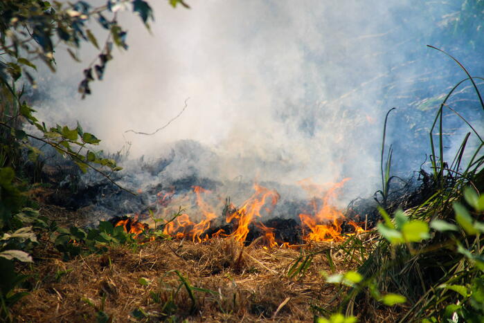 Bosschage Park Groenoord in brand