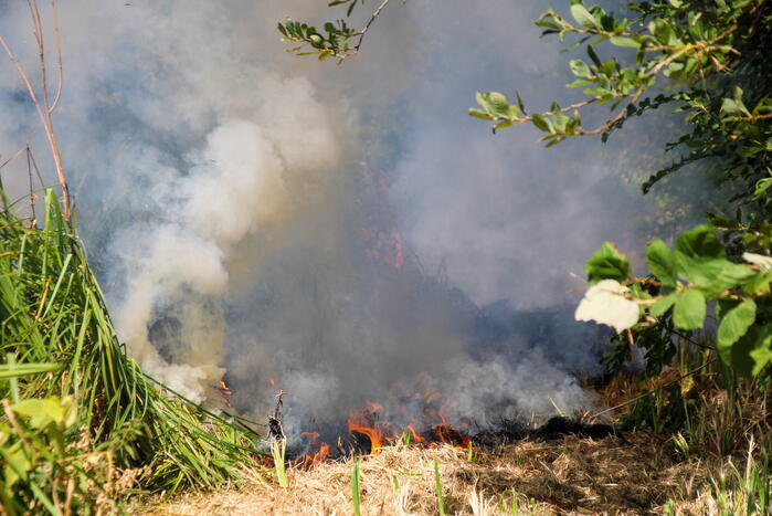 Bosschage Park Groenoord in brand