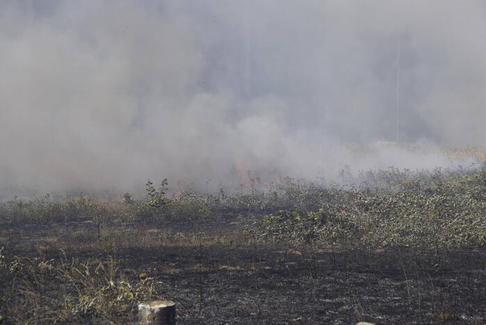 Gras verwoest vanwege brand op braakliggend terrein