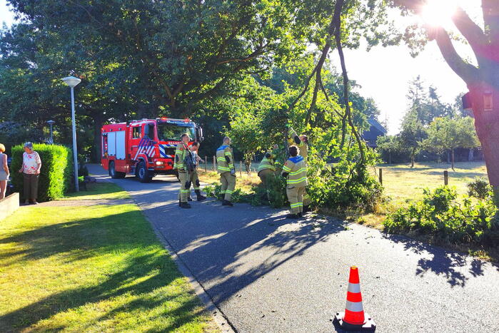 Gevaarlijk hangende tak verwijderd door brandweer