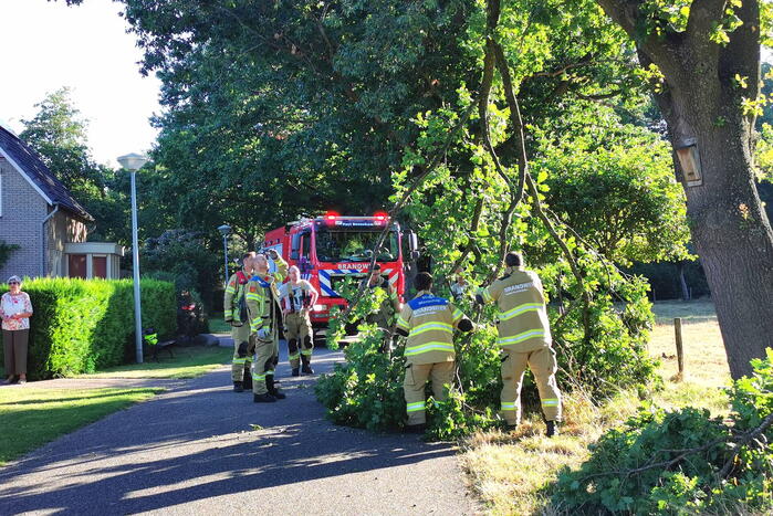 Gevaarlijk hangende tak verwijderd door brandweer