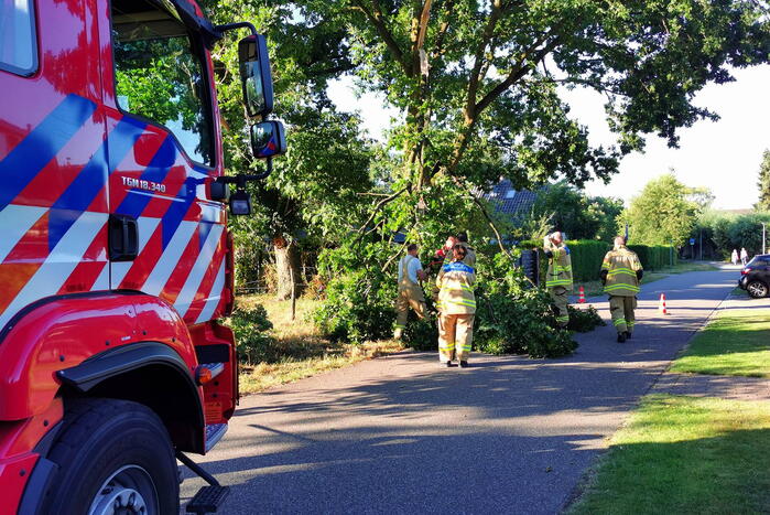 Gevaarlijk hangende tak verwijderd door brandweer