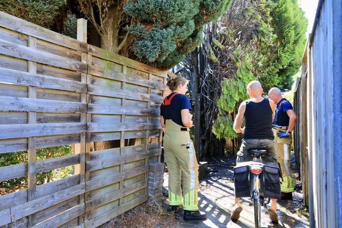 Boom en schutting verwoest door brandstichting