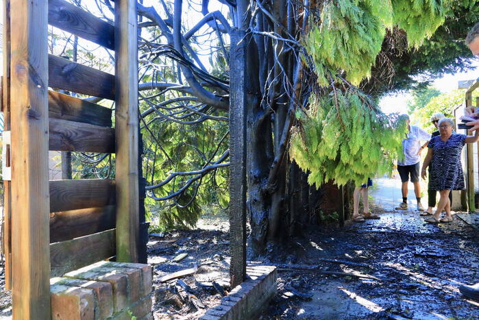 Boom en schutting verwoest door brandstichting