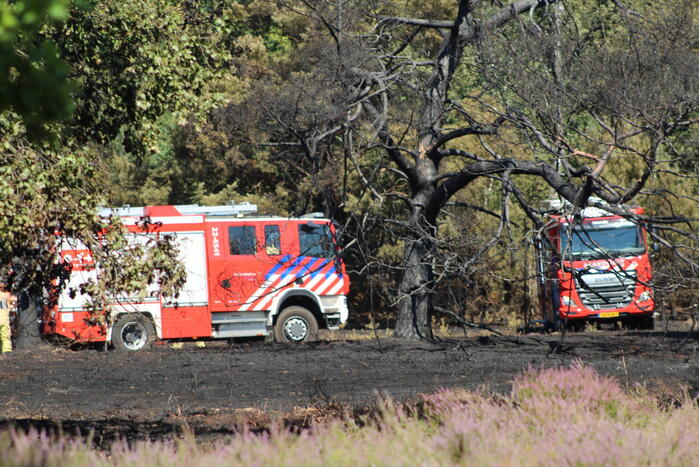 Natuurbrand snel onder controle