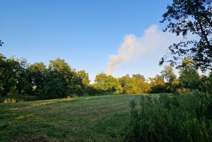 Veel rook bij brand in bosschage