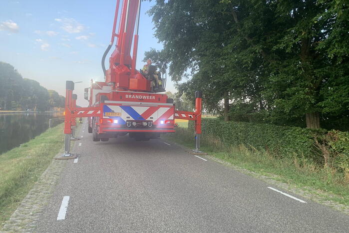 Gevaarlijk hangende tak verwijderd door brandweer