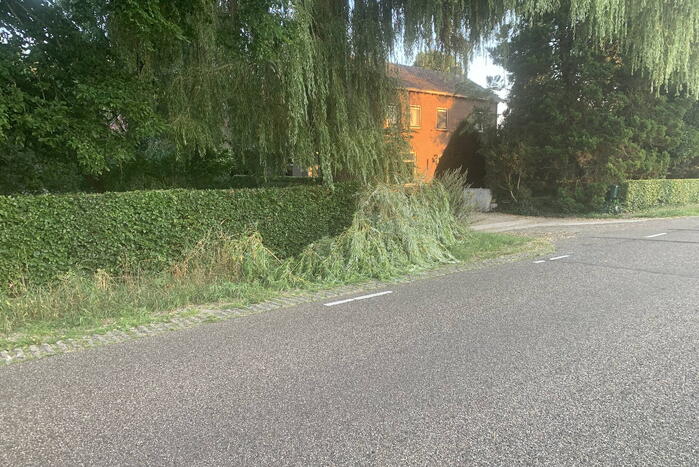 Gevaarlijk hangende tak verwijderd door brandweer