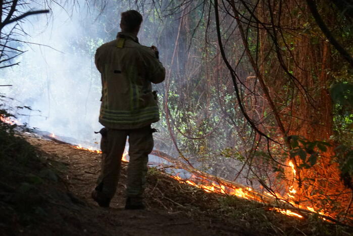 Flinke rookpluimen bij brand in bosgebied