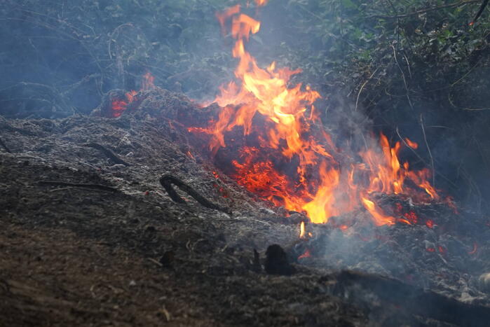 Flinke rookpluimen bij brand in bosgebied