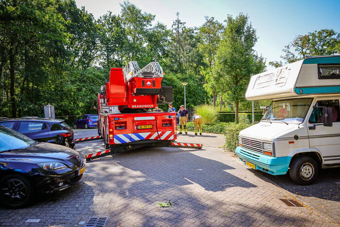 Brandweer verwijdert takken bij Elimkerk