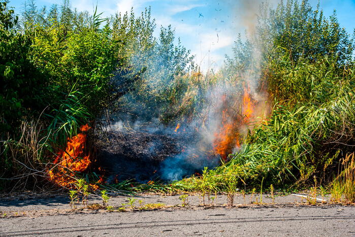 Brandweer blust flinke natuurbrand