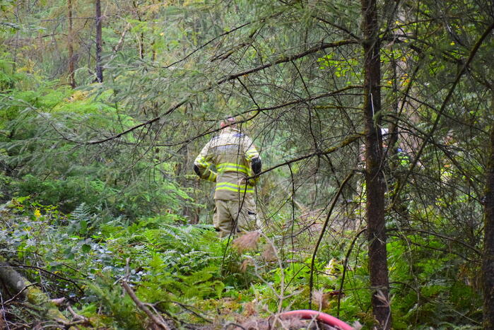 100 vierkante meter natuur verwoest vanwege brand