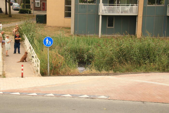 Auto te water geraakt na vergeten handrem