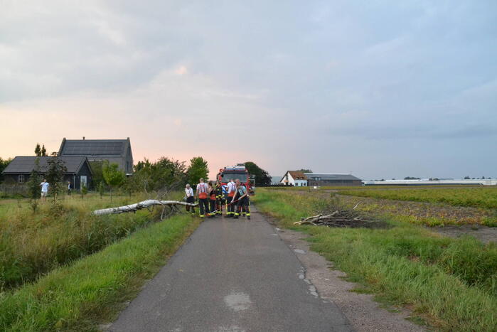 Brandweer ingezet bij omgevallen boom