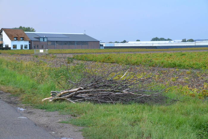 Brandweer ingezet bij omgevallen boom