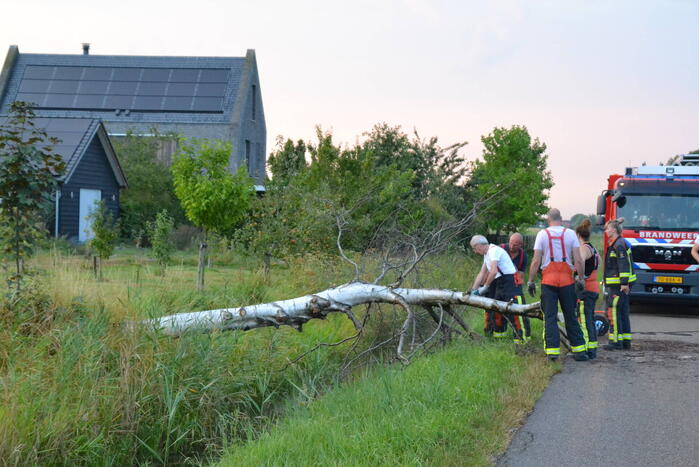 Brandweer ingezet bij omgevallen boom