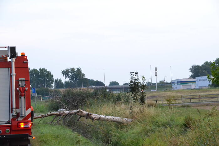Brandweer ingezet bij omgevallen boom