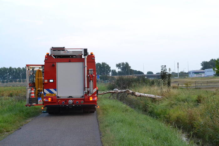 Brandweer ingezet bij omgevallen boom