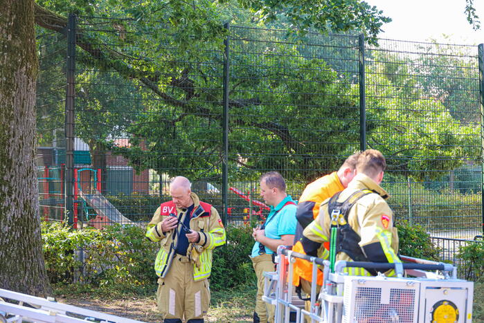 Enorme loshangende tak door brandweer verwijderd
