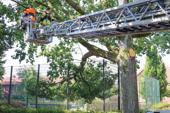 Enorme loshangende tak door brandweer verwijderd