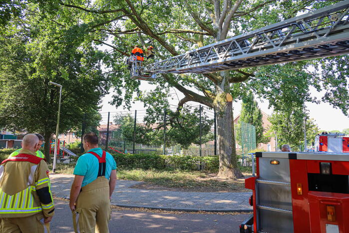 Enorme loshangende tak door brandweer verwijderd